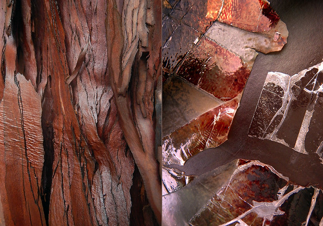 Abstract diptych of shaggy dark red cedar bark combined with a taped-up chair seat on Commercial Drive
