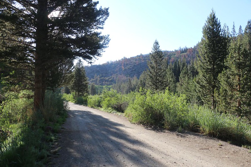 Hiking along North Lake Road to the backpacker parking lot, where I locked my eBike within a nearby aspen grove