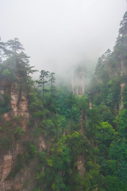 foggy  in Zhangjiajie National Park, China
