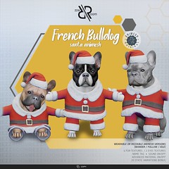 [Rezz Room] Santa  French Bulldog  Animesh  (Companion)