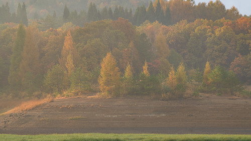 苫田郡 岡山県 japan 恩原高原 恩原湖 高原 field 朝景 sunrise 紅葉 autumnleaves