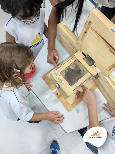 Projeto O Segredo das Abelhas - Educação Infantil I e II | Unidade 3 Pindamonhangaba