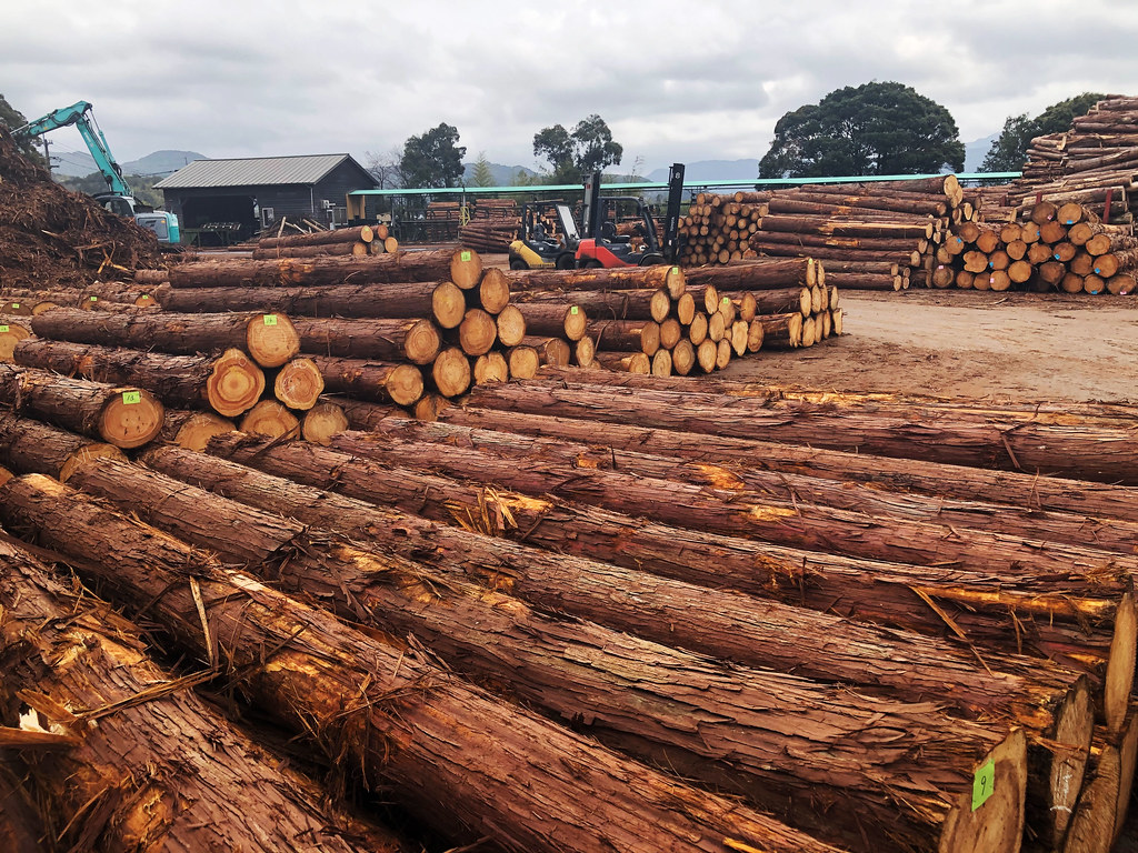 原木共販所，原木主要加工成木建築材料