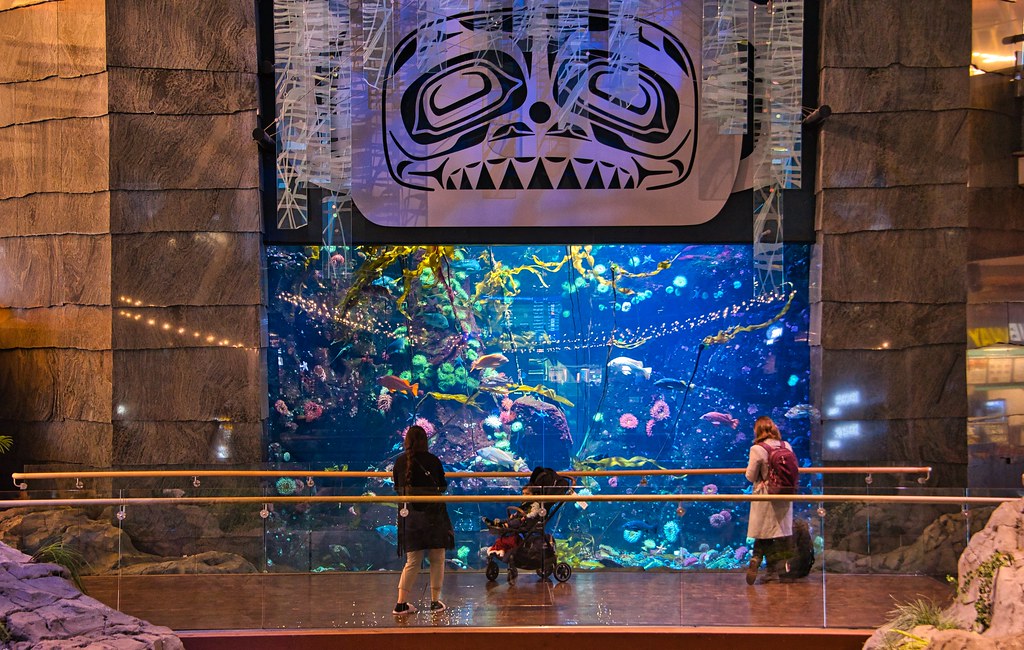 2021 - Mexico City - 2 - Vancouver YVR - Aquarium