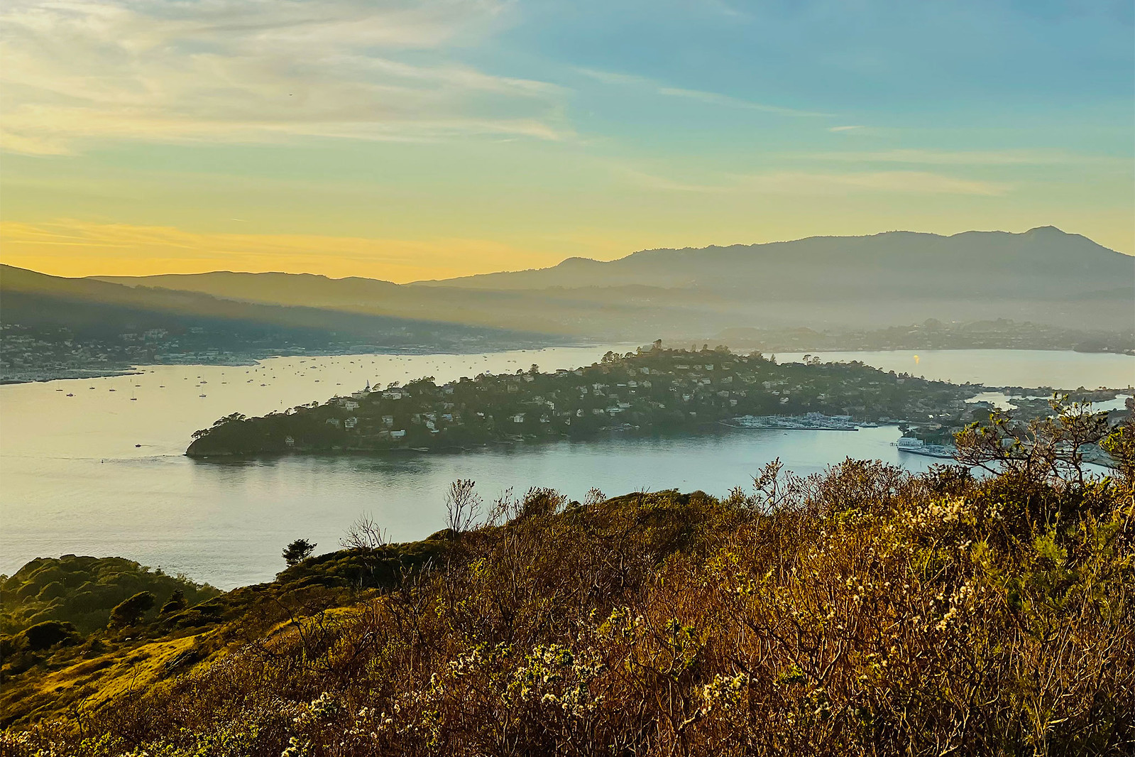 Cover Image for Tiburon Panoramic View Home presented by Steven Mavromihalis