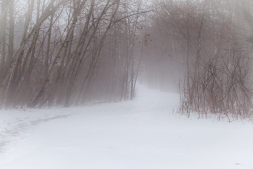 50mmf18ii burroakspark canon5dmk2 fog landscape nature prime winter