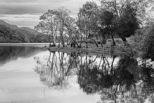Loch Achray. - reflections