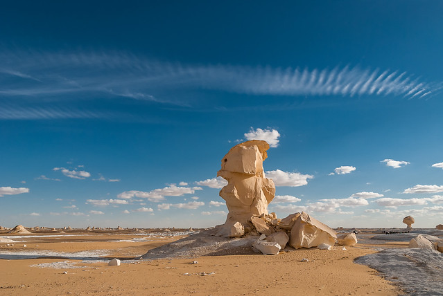 desert figures