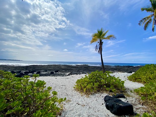 Beach near the picnic area