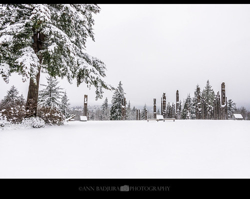 Winter Wonderland continued in Vancouver, BC, Canada by Ann Badjura Photography, A pretty winter scene from Burnaby Mountain Park near Vancouver, British Columbia, Canada.  


<b>Ab