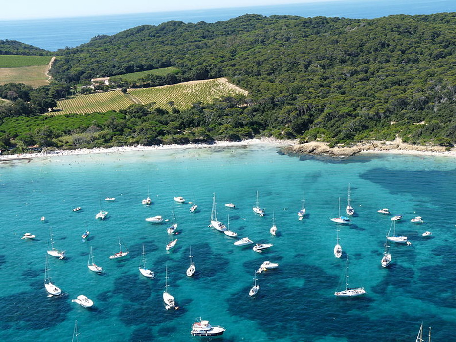 地中海度假天堂波克羅勒島，從2021年夏天開始限制每天能上島觀光與住宿的人數，以維護當地生態與旅遊品質。圖片來源：Yyuri1989／維基百科（CC BY 3.0）