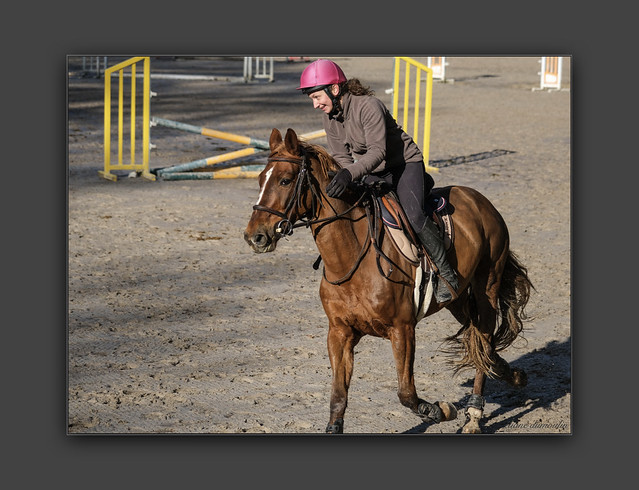 Cours d'équitation à Maisons-Laffitte