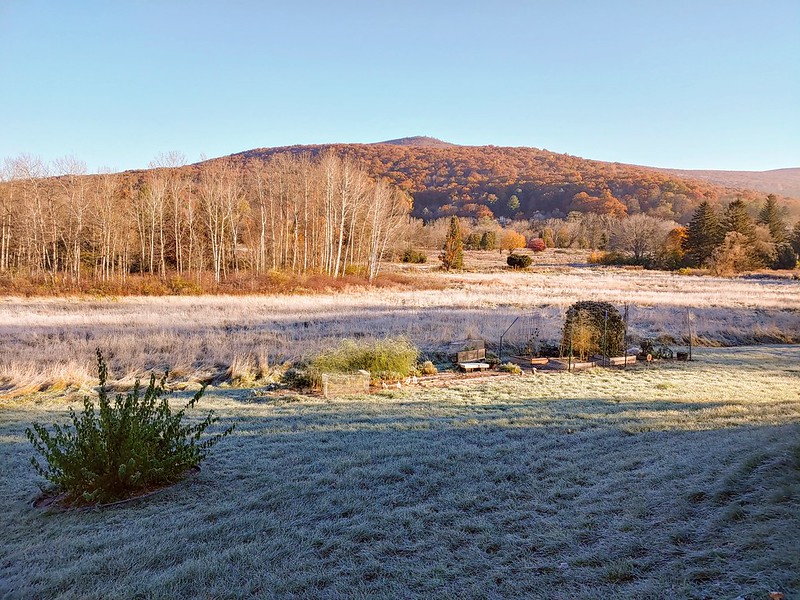 First Big Frost - getting the garden ready for winter