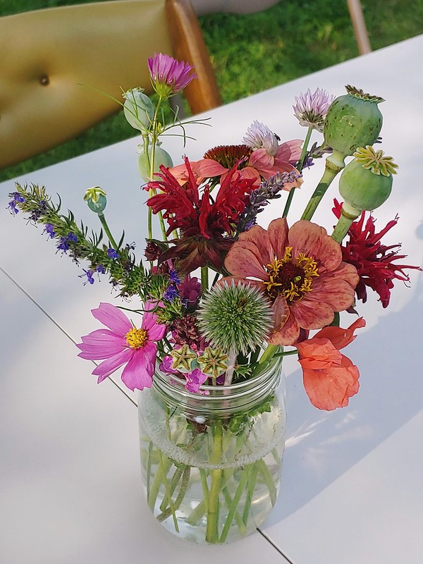 Garden Bouquet - Monarda, hyssop, poppies, cosmos, queen red lime zinnia, white globe thistle