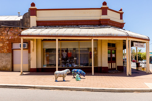 westernaustralia shop familystore northampton