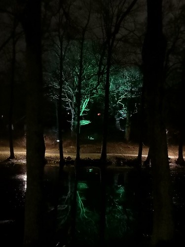 Kattugglan hoade i natten från de spöklikt upplysta träden vid Åkers kanal i Åkersberga, Österåker. | by annamiwendel