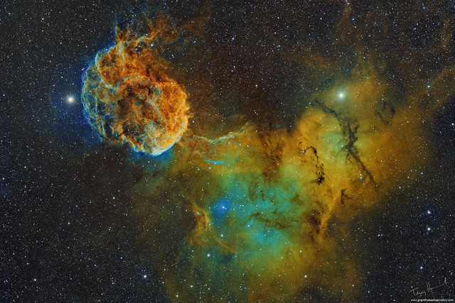 The JellyFish Nebula IC443 