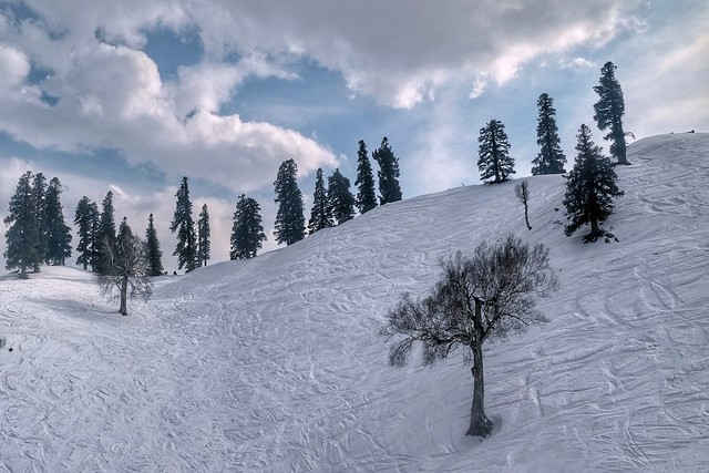 Winter Landscape, Gulmarg
