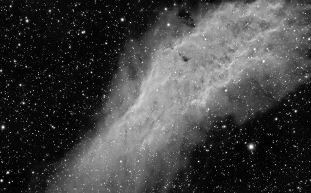 California Nebula in Ha