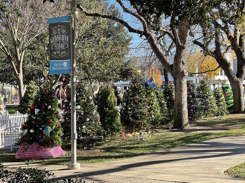 City Park holiday trees