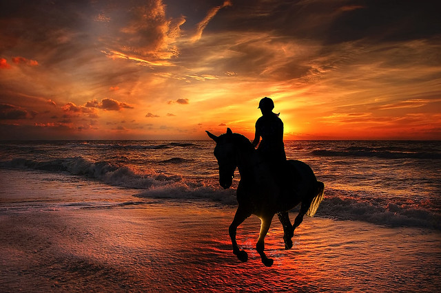 Riding at Sunset