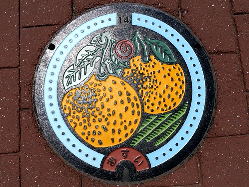 Yatsushiro Kumamoto, manhole cover （熊本県八代市のマンホール）