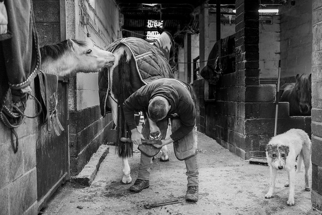 Farrier and friends