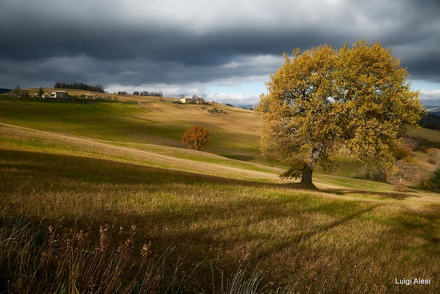San Severino Marche countryside