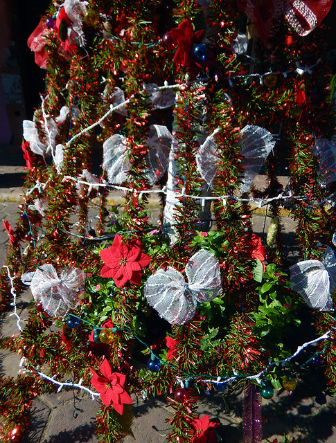 The Christmas tree decorated with bows and red poinsettias in the main plaza of Zihuatanejo, Mexico