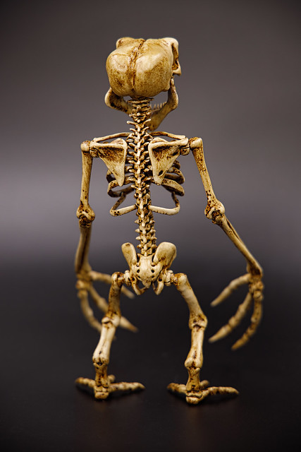 Skeleton Gremlin V1 and V2