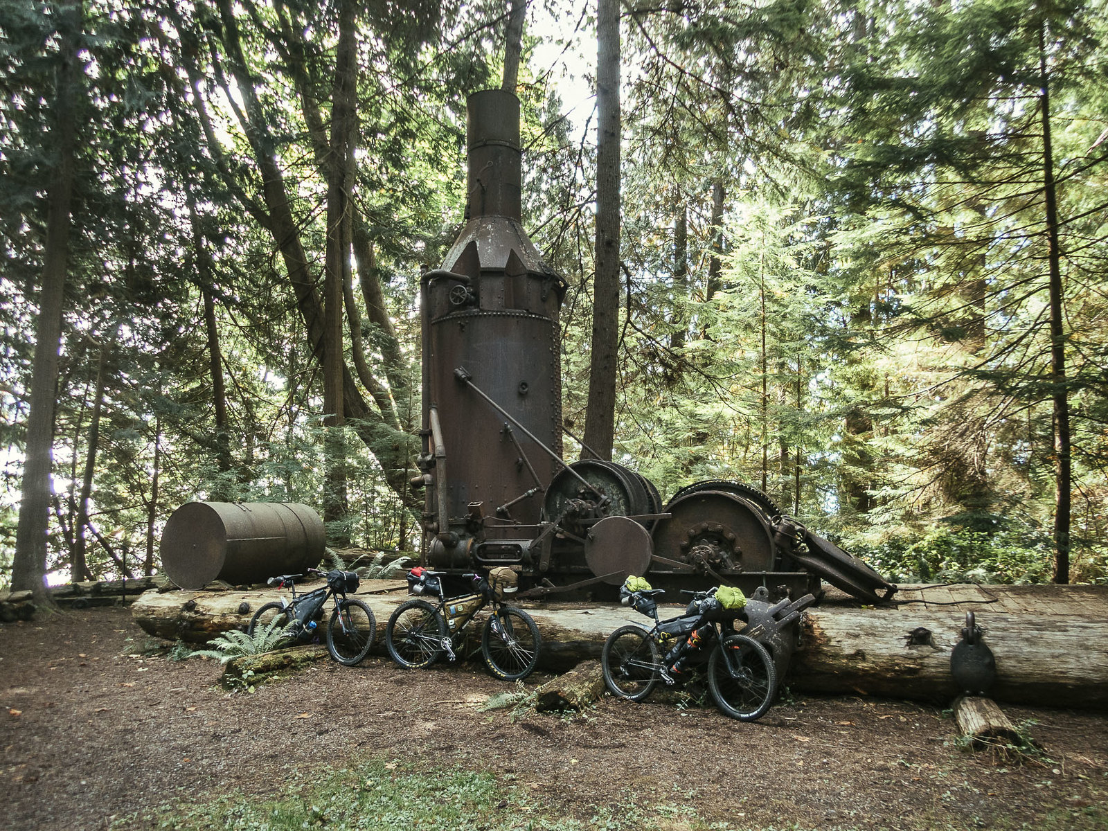 steam donkey in powell river forestry museum
