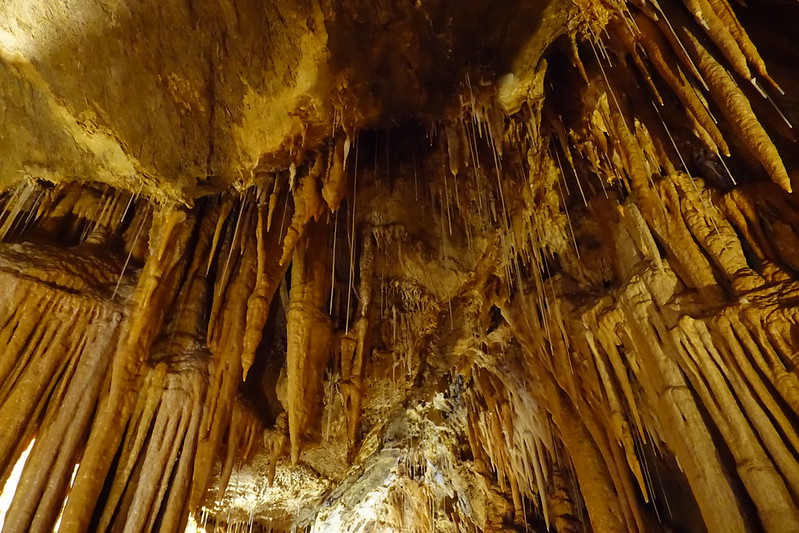 Pirineos orientales. Cerdaña francesa: Cueva (Grotte) de Fontrabiouse, - De viaje por Francia: diarios, viajes y excursiones en coche. (32)