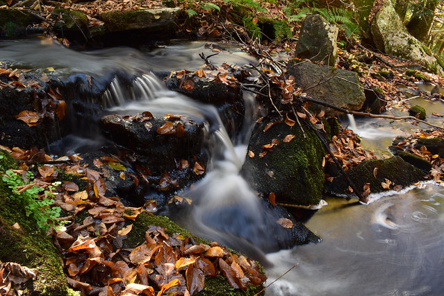 Swirly Falls & Leaves of Fall