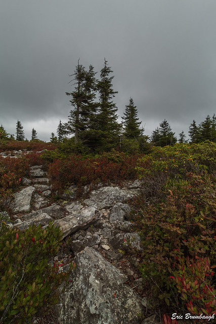 A Typical Day at Dolly Sods