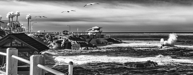 December Surf Is Up At Children's Pool In La Jolla -Infrared
