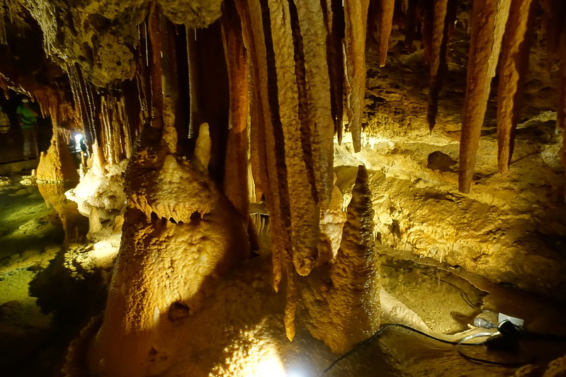 Pirineos orientales. Cerdaña francesa: Cueva (Grotte) de Fontrabiouse, - De viaje por Francia: diarios, viajes y excursiones en coche. (17)