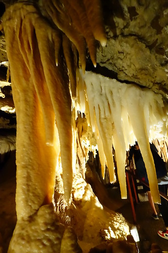 Pirineos orientales. Cerdaña francesa: Cueva (Grotte) de Fontrabiouse, - De viaje por Francia: diarios, viajes y excursiones en coche. (10)