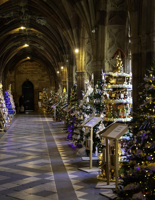 Christmas Tree Festival 2021 - Worcester Cathedral