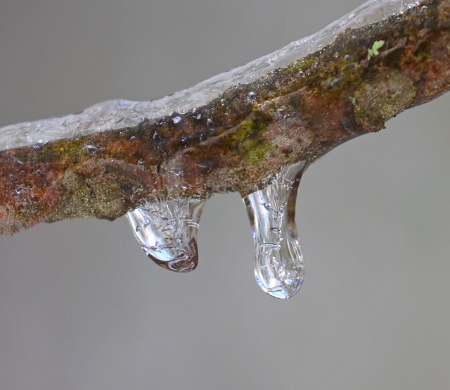 Frozen Water Drops (Explored 12/21/21)