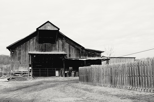 blackandwhite oldbarns appalachia farms greenecountytennessee easttennessee canont5 landscape agriculture
