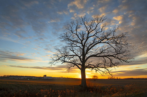 solstice winter wintersolstice life tree sunset beautiful nature landscape rural farm field flx ny nys december 21st lake cayuga fingerlakes canon 2021