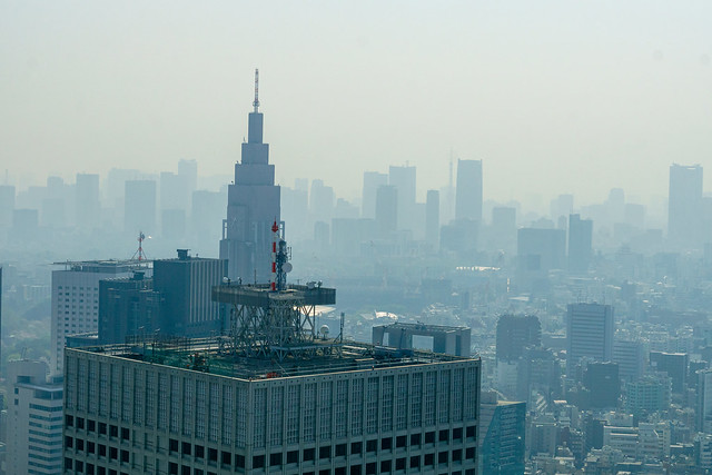 View from Tokyo Metropolitan Government Office Building with some Morning Pollution - Japan 55
