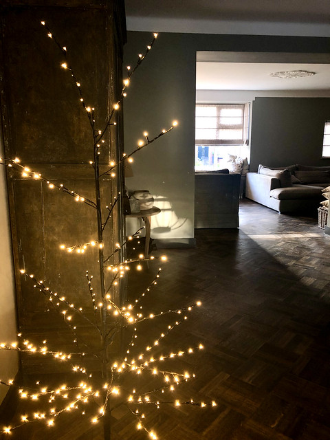 kerstboom minimalistisch met lampjes in landelijke woonkamer met visgraatvloer