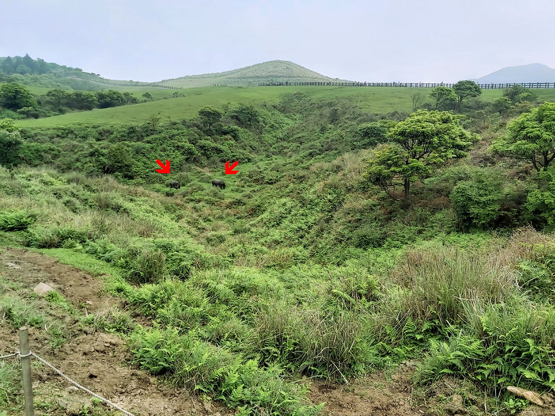 Huangzuishan-Yangmingshan