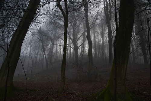 Dancer in the Fog | by Pixel Badger