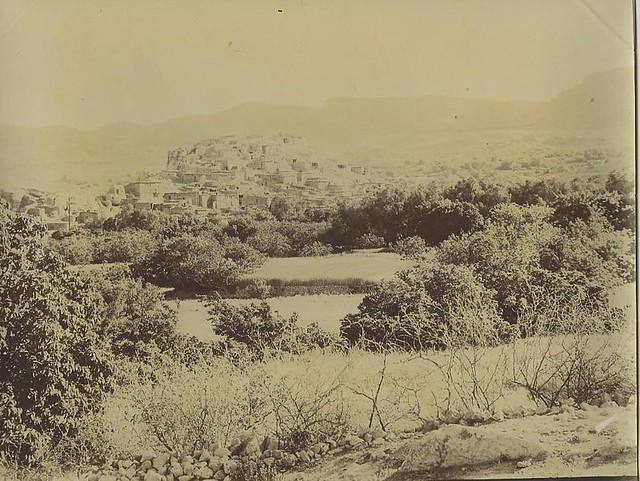 Algeria Beni-Ferah village & gardens Old Photo Emile Frechon 1900