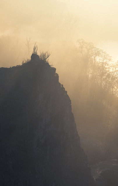 A rock in the morning mist