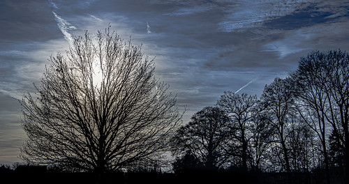 tree trees blue sky sun clouds winter sunset landscape