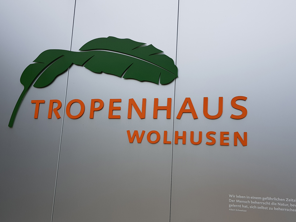2019 Besuch Tropenhaus