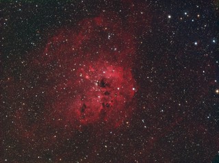 IC410 (Tadpoles Nebula) HaRGB - 16 Dec 2021 | by geoflewis